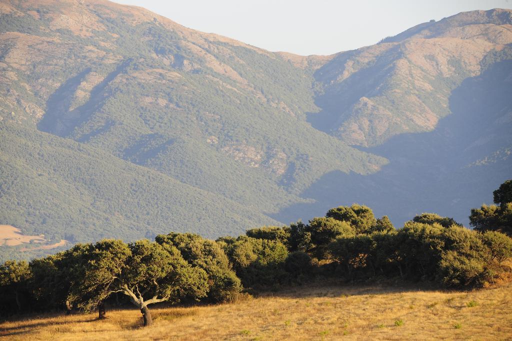 Agriturismo Rocca Su Moru Villa Arbus Buitenkant foto